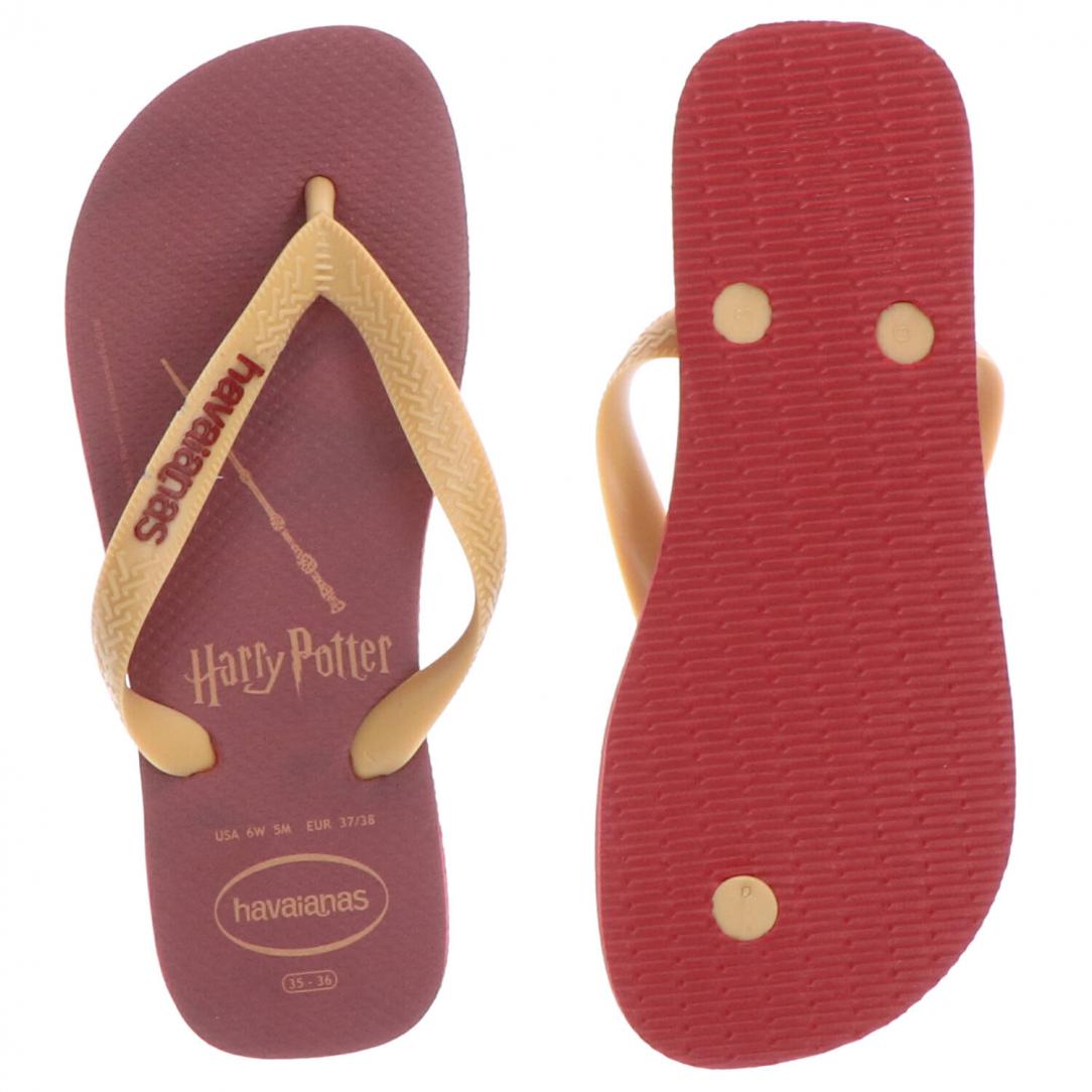 Hava Potter Bordeaux Hava Potter Bordeaux 4