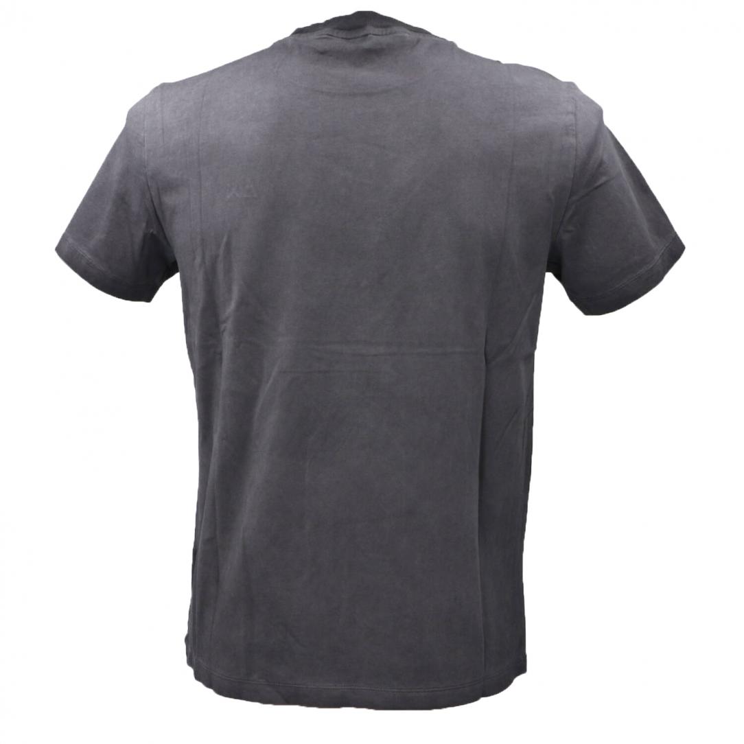 T34145 SPECIAL DYED S/S Grigio 3