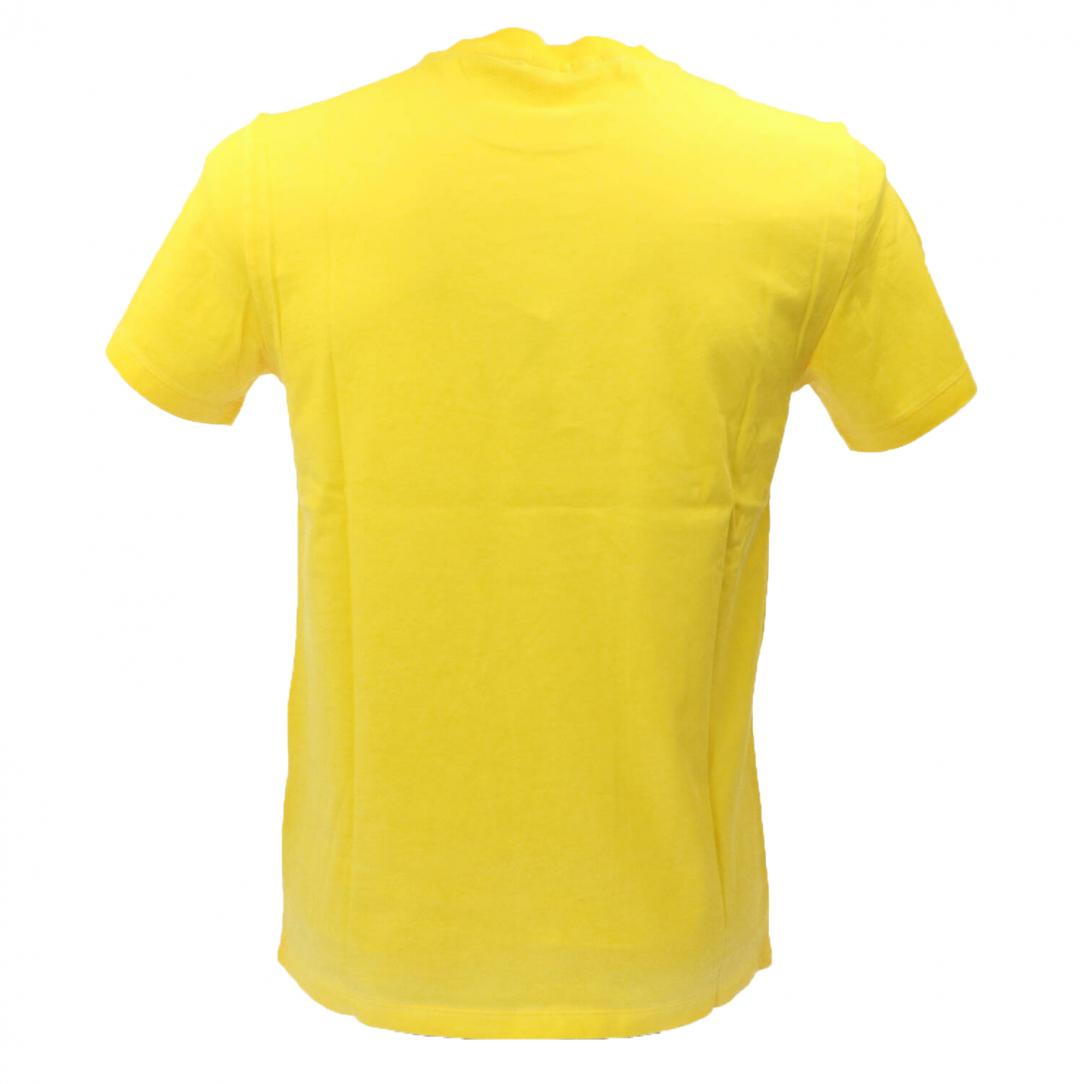T34145 SPECIAL DYED S/S Giallo 3