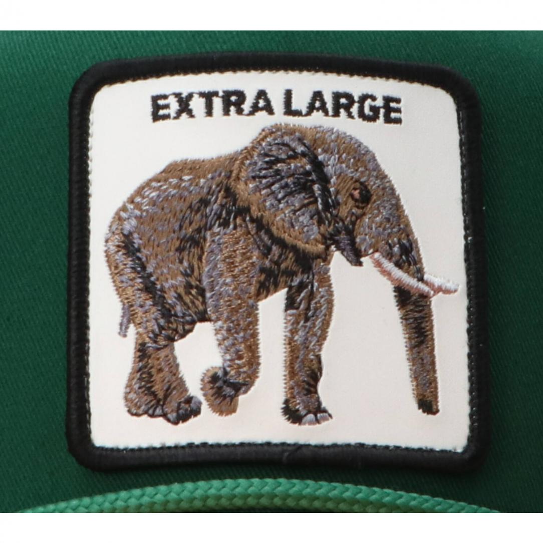 DROP CANVAS ANIMAL CAP Verde Extra Large 2