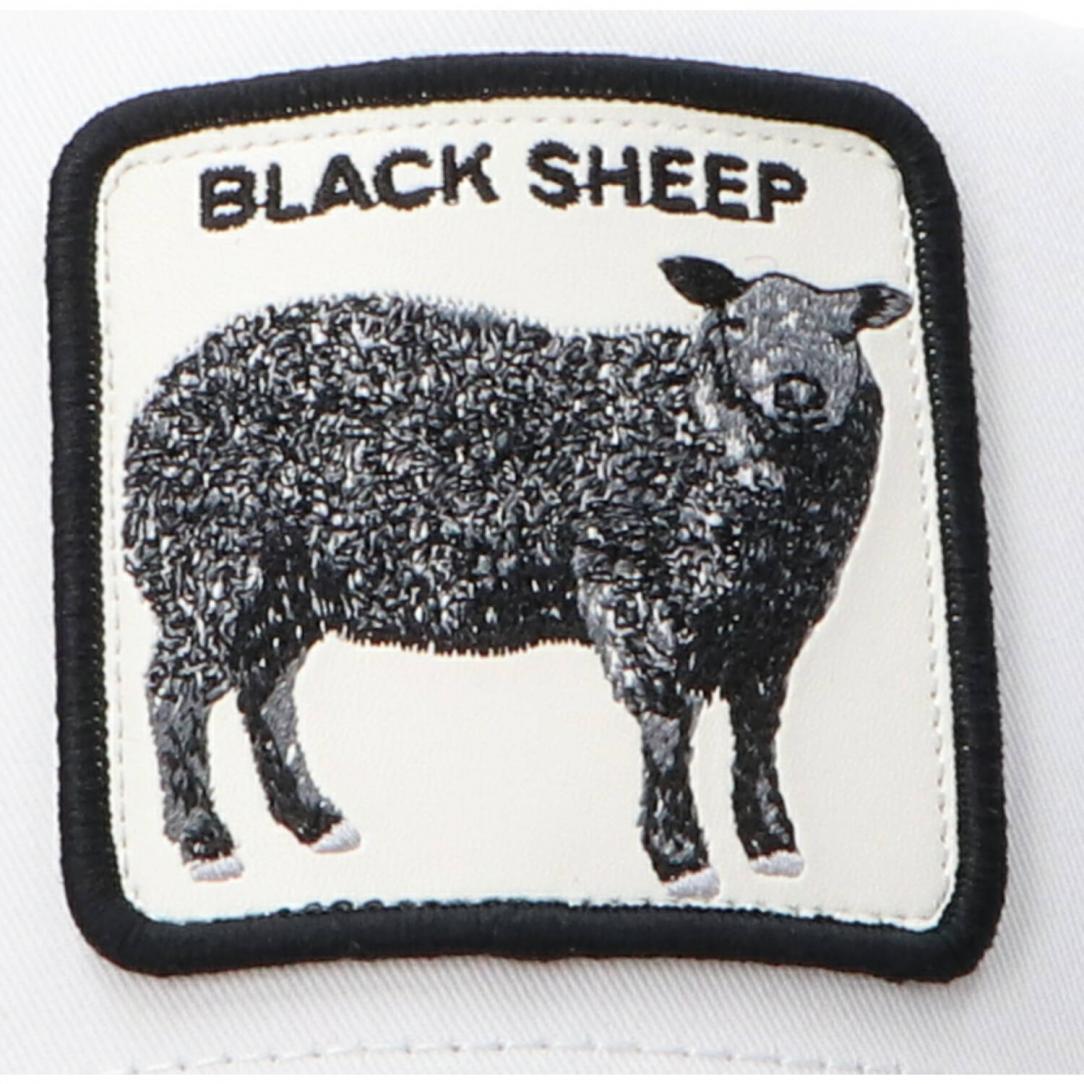 ANIMAL FARM Grigio black sheep 2