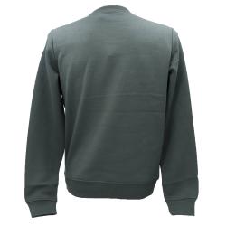 Felpe SWEATSHIRT PALMIS Verde