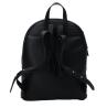 Zaini e marsupi BACKPACK HUANCA ex SNEIDE Oro Nero