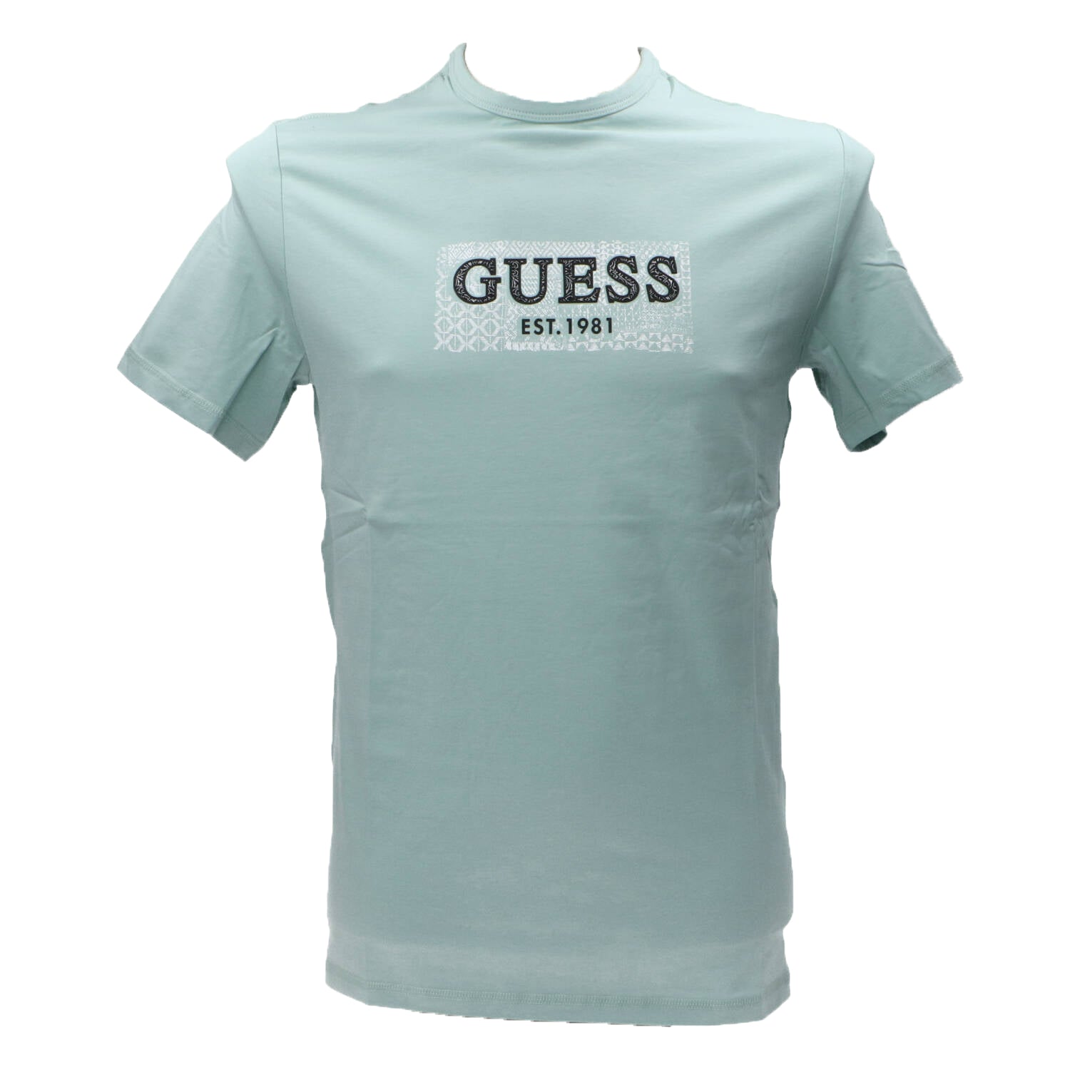 Guess T-shirt T-shirt SS CN BOX TEE Verde menta
