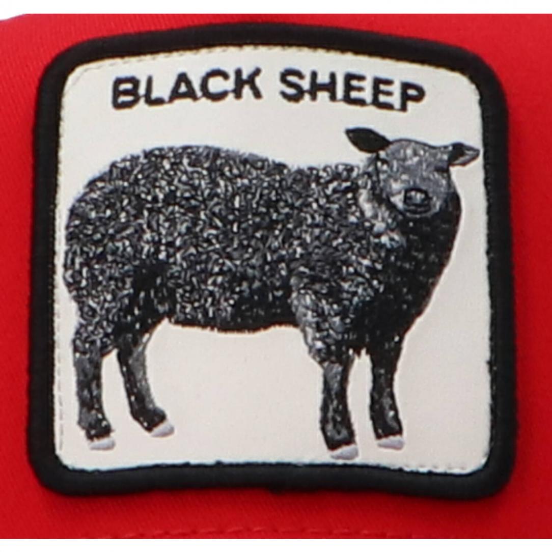 ANIMAL FARM 25 Rosso Black Sheep ANIMAL FARM 25 Rosso Black Sheep 3