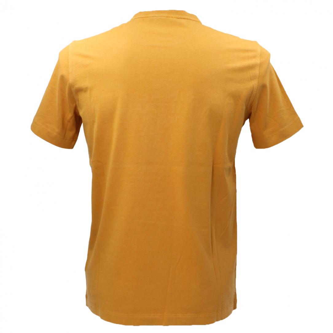 T-SHIRT COTONE 2378 Giallo Senape T-SHIRT COTONE 2378 Giallo Senape 3