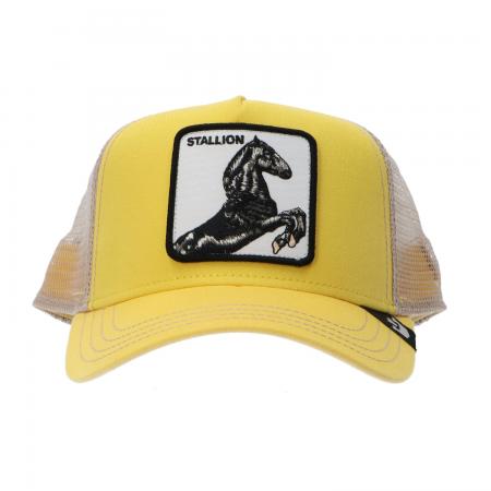 Cappellini Uomo FARM ANIMAL 25 Giallo Stallion
