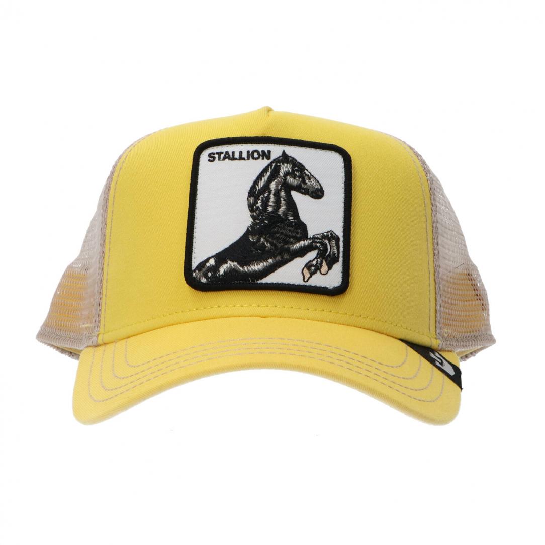 FARM ANIMAL 25 Giallo Stallion FARM ANIMAL 25 Giallo Stallion 1