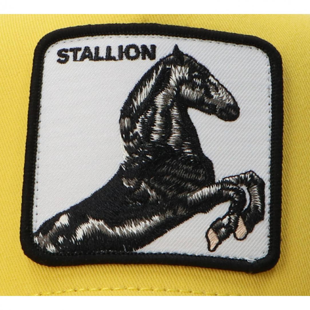 FARM ANIMAL 25 Giallo Stallion FARM ANIMAL 25 Giallo Stallion 2