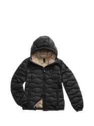 Blauer Usa Giubbotti 25WBLDC03095 IMBOTTITO PIUMA CAMELIA Nero