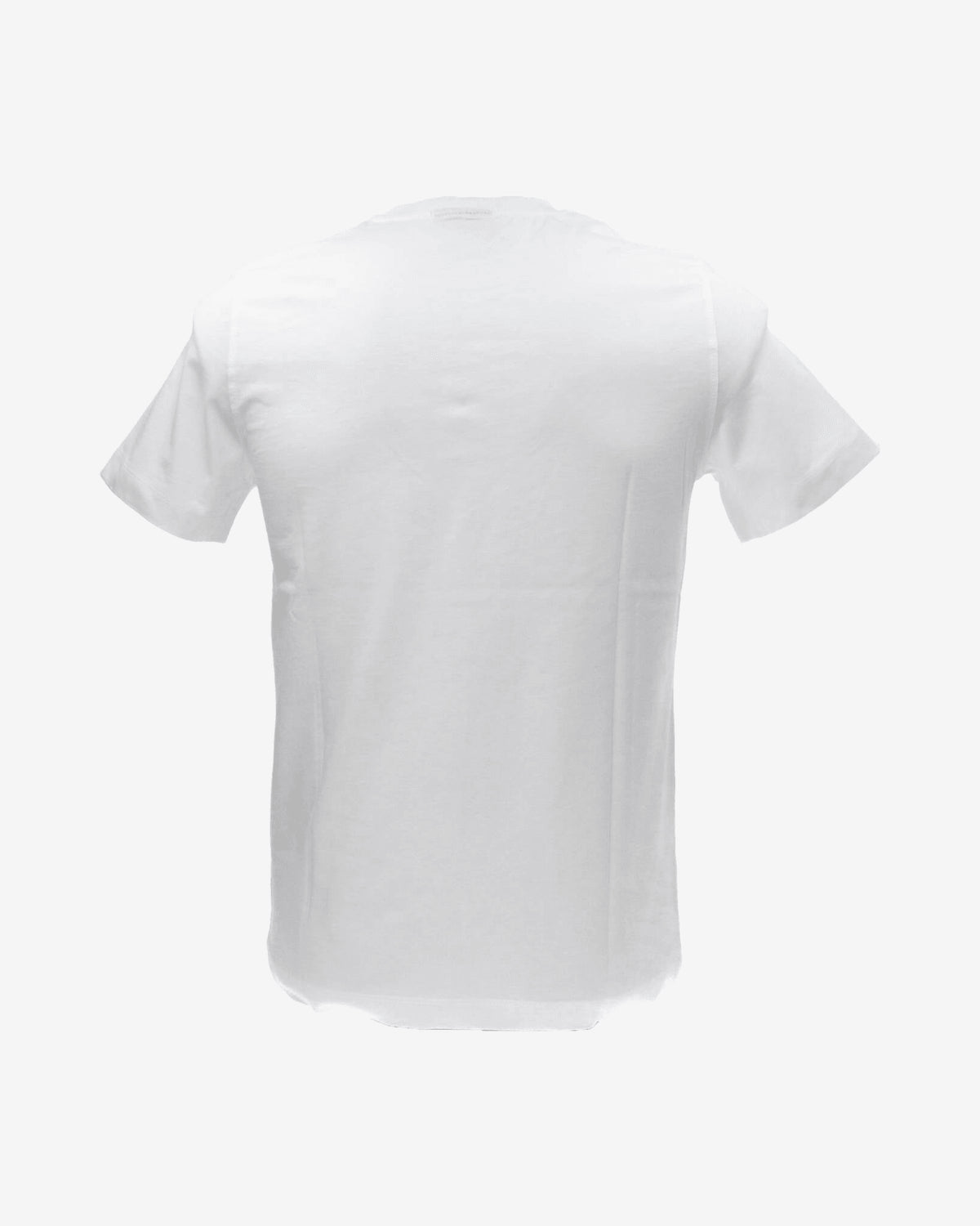 T-shirt T-SHIRT BASICA 2376