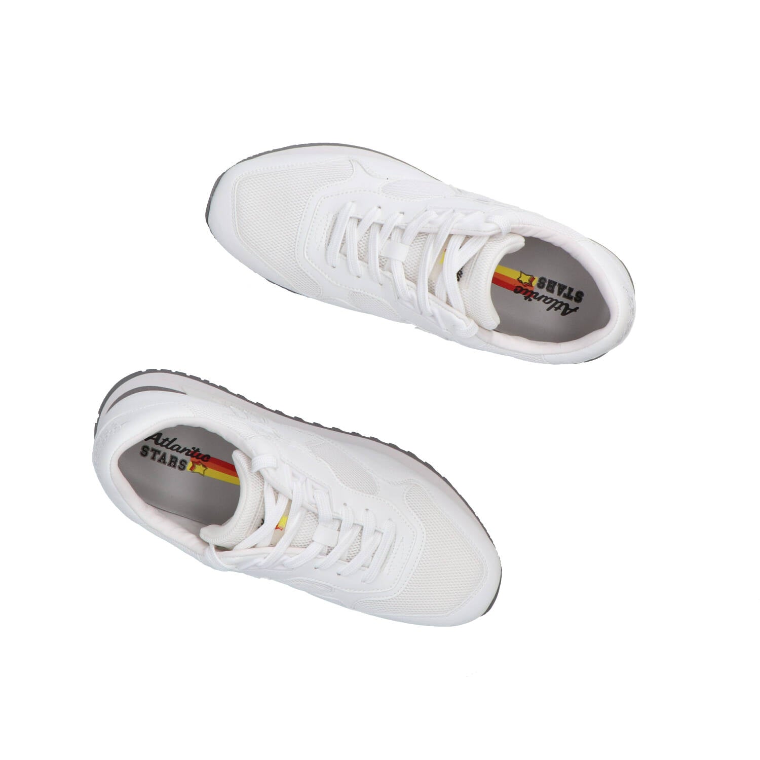Sneakers Drac 02