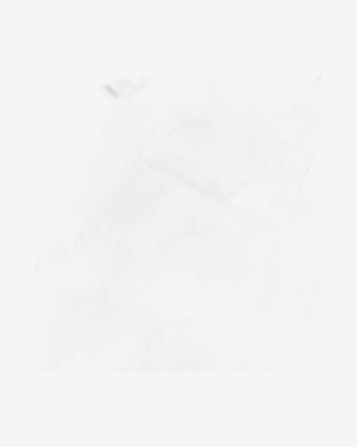 25WBLUC02079 ADAMS OVATTA