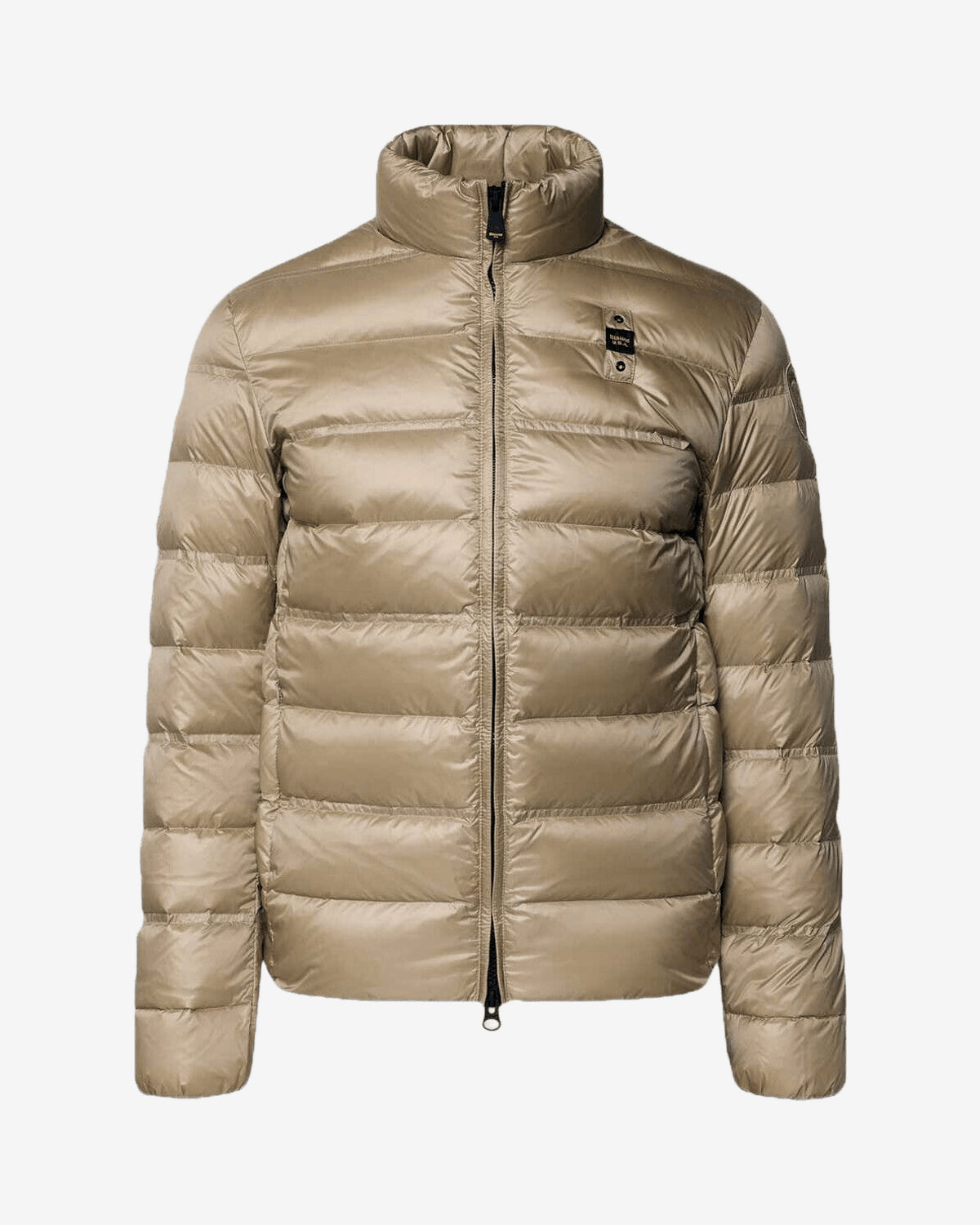 Collo Coreana Belmont