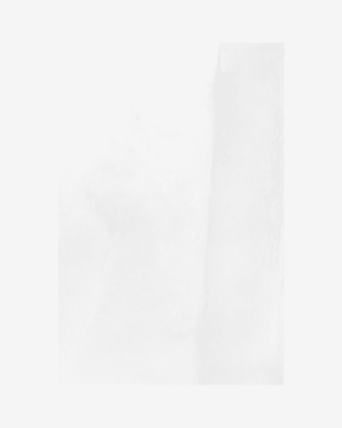 WE_WINTERBRUSH
