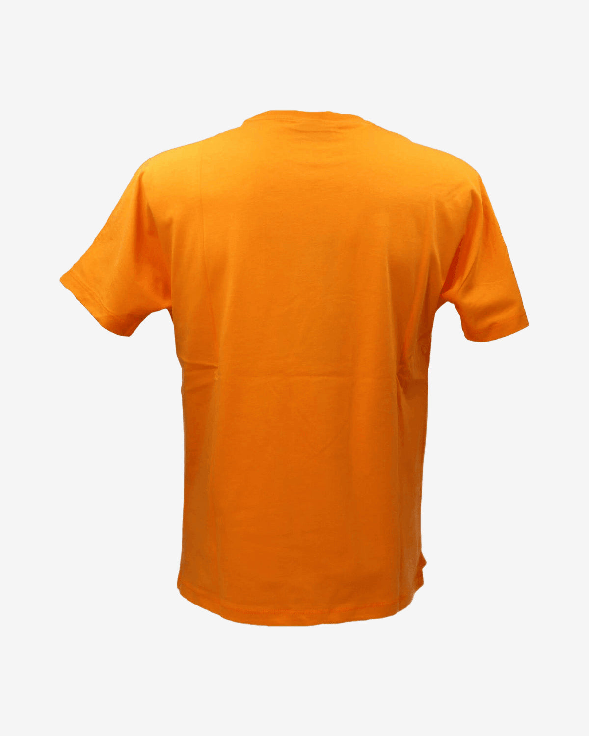 T-shirt T-SHIRT UOMO 54815