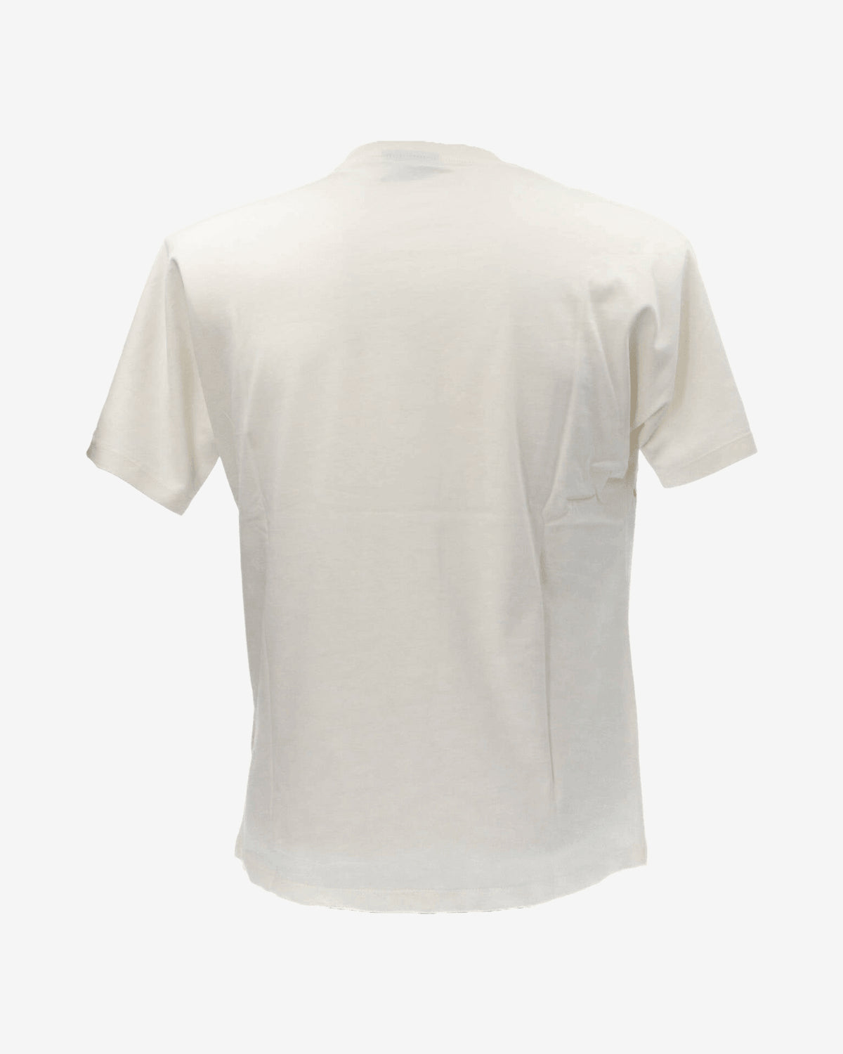 T-shirt T-SHIRT UOMO JERSEY 54897