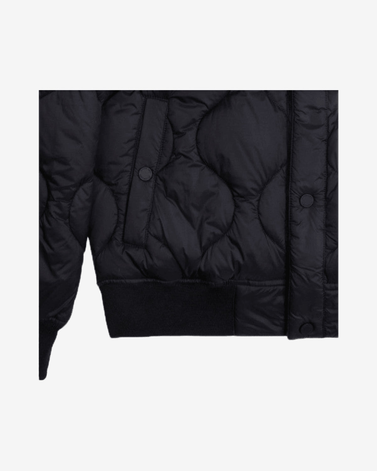 Bomber Trapuntato