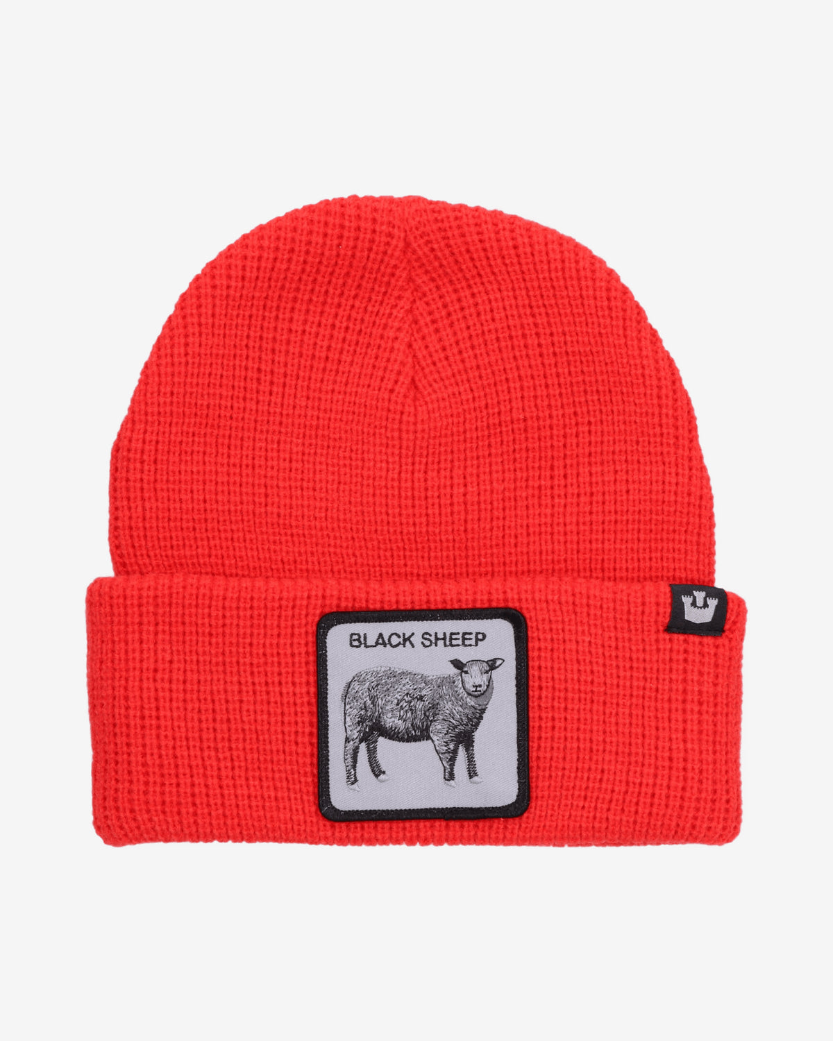 Beanies Animal