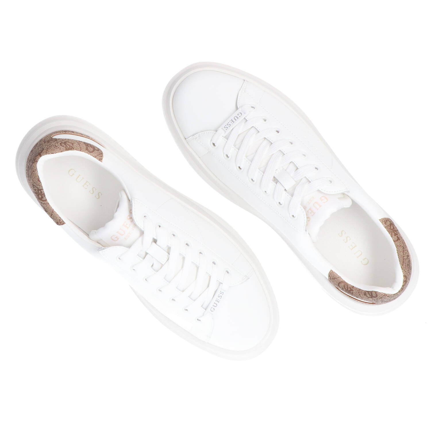 FMPVIB LEA12