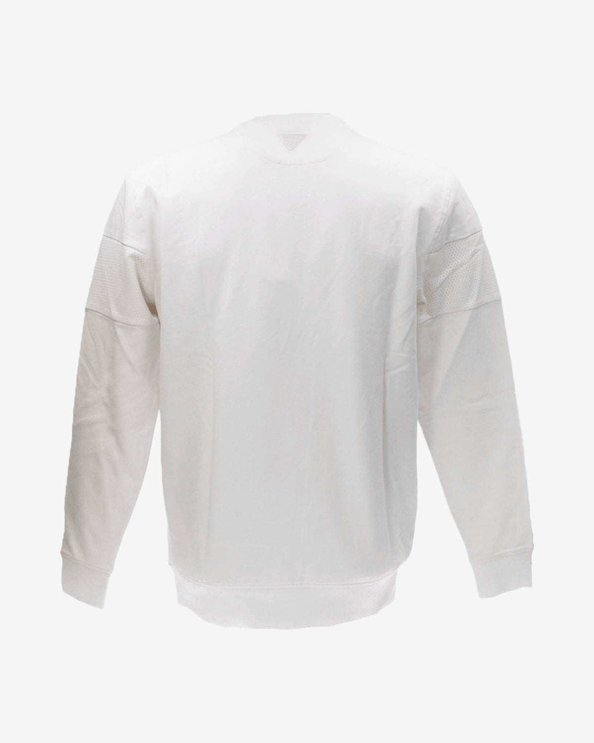 Felpe FOXGLOVE CN SWEATSHIRT