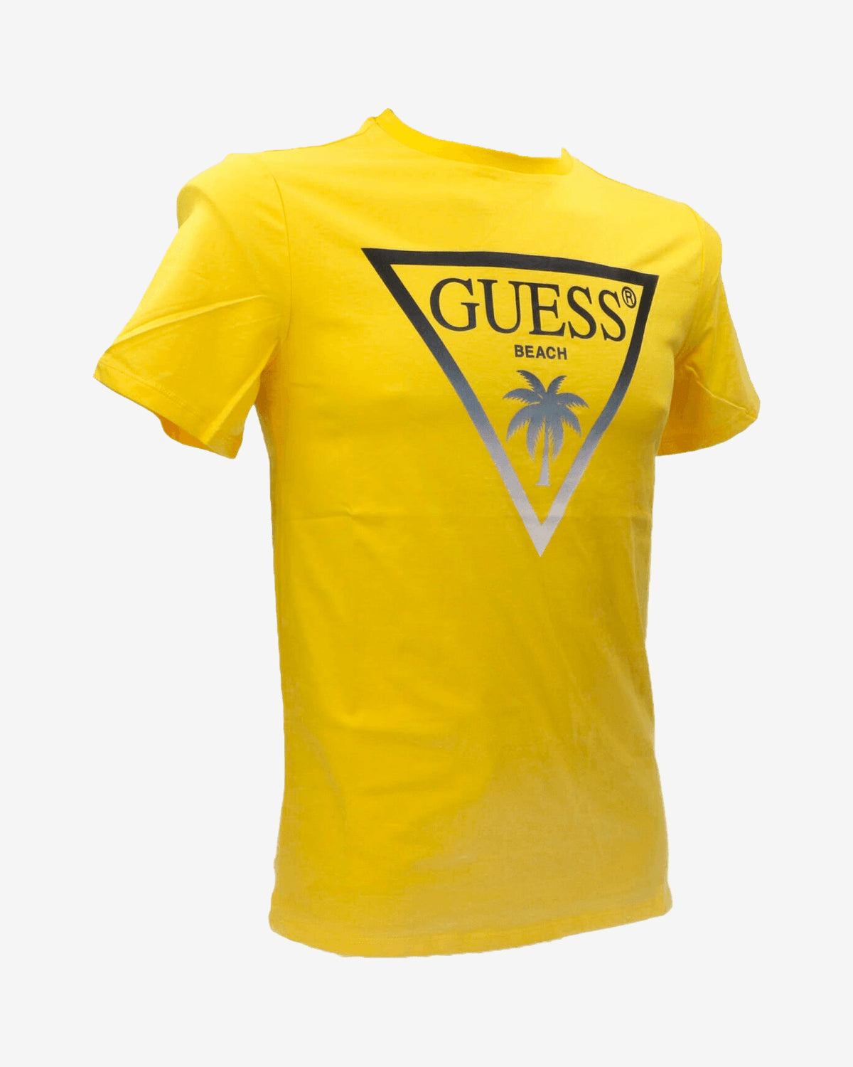 T-shirt SS CN Triangle palm tee