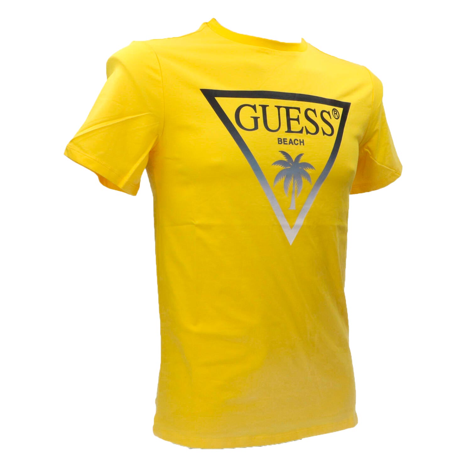 T-shirt SS CN Triangle palm tee
