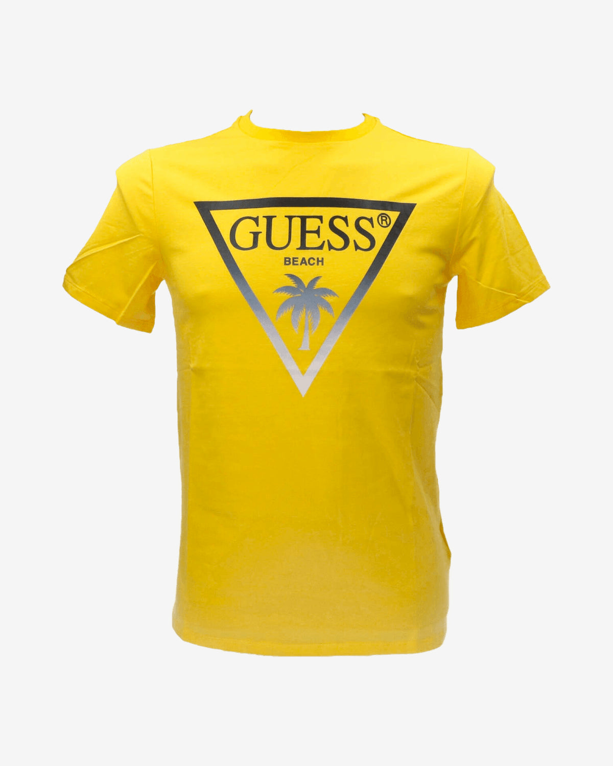 T-shirt SS CN Triangle palm tee