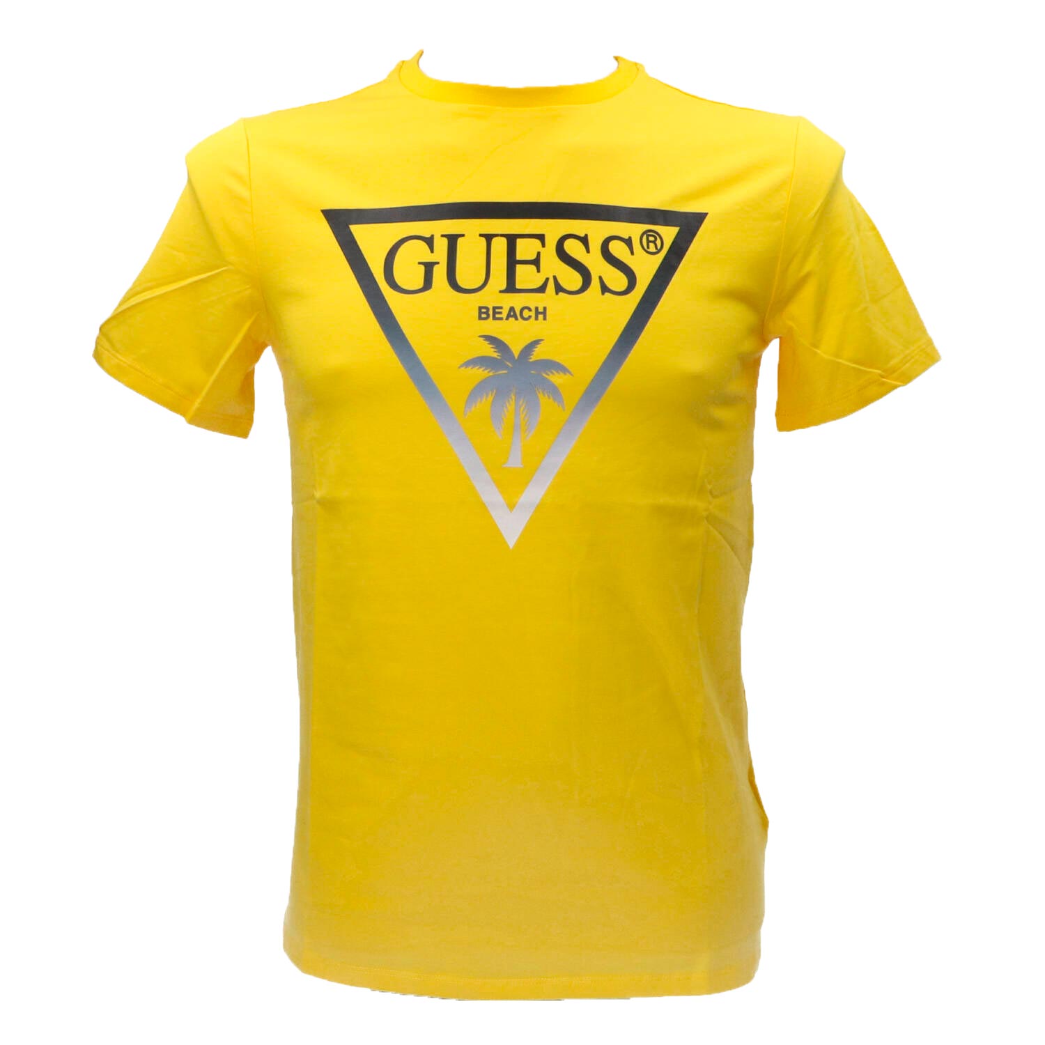 T-shirt SS CN Triangle palm tee