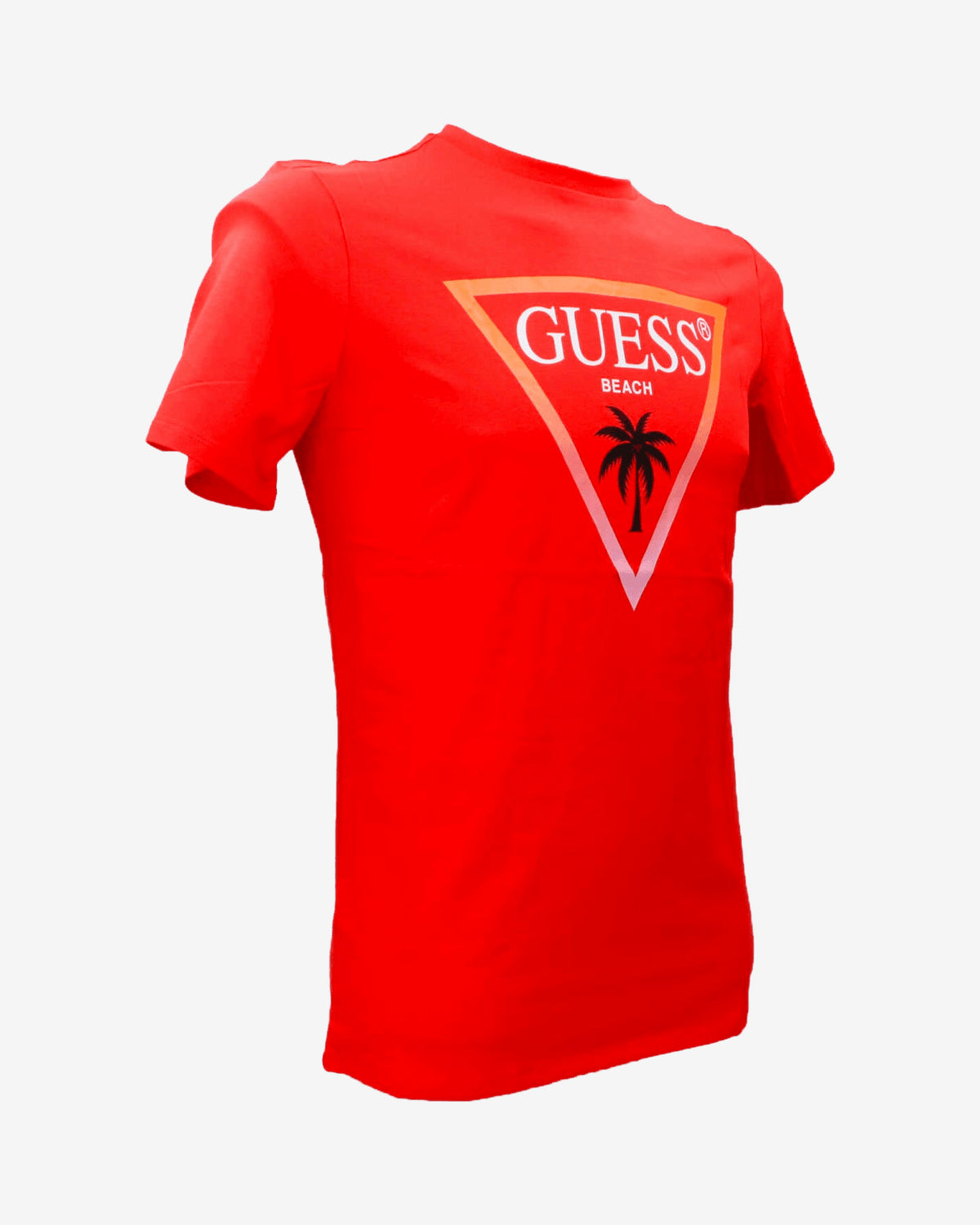 T-shirt SS CN Triangle palm tee