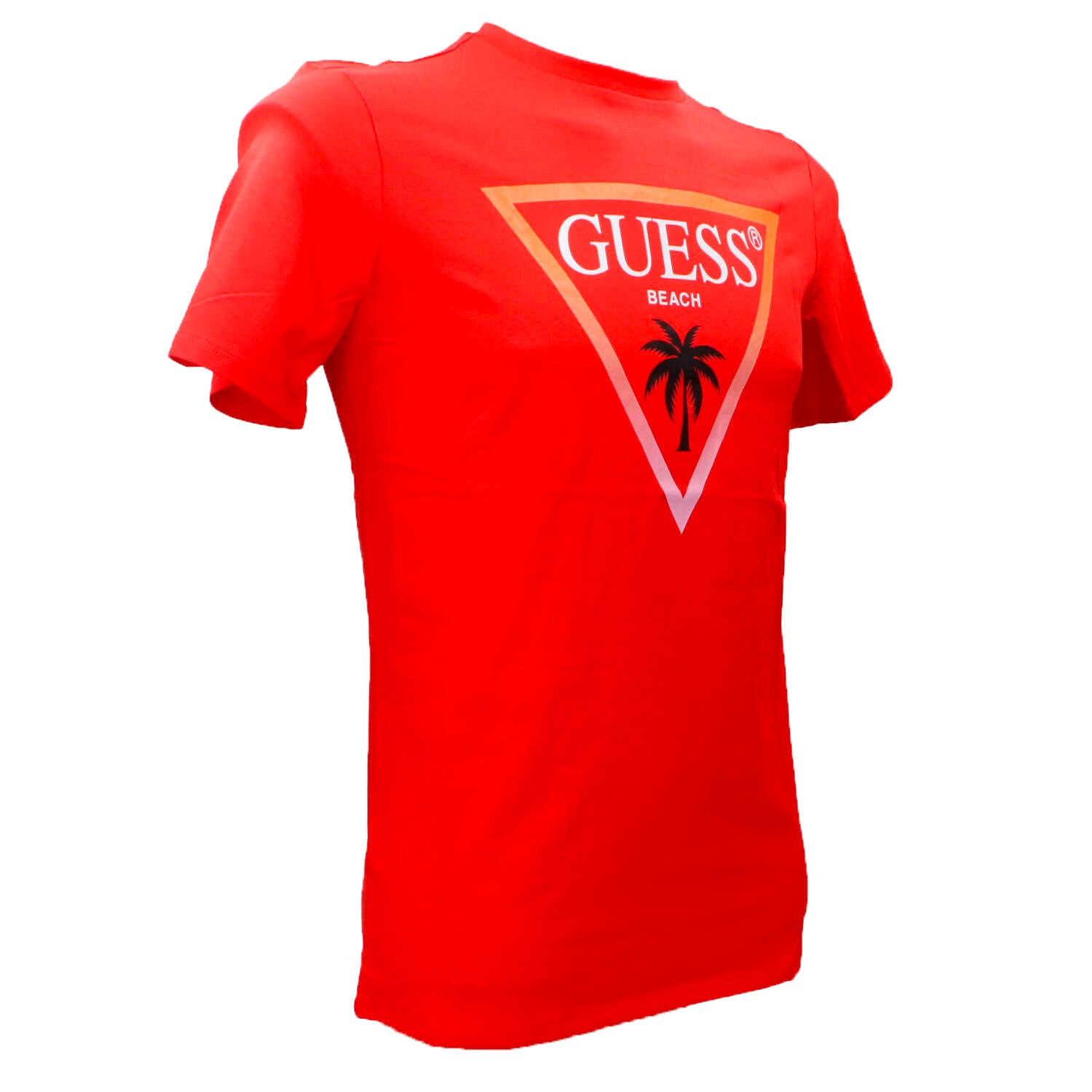 T-shirt SS CN Triangle palm tee