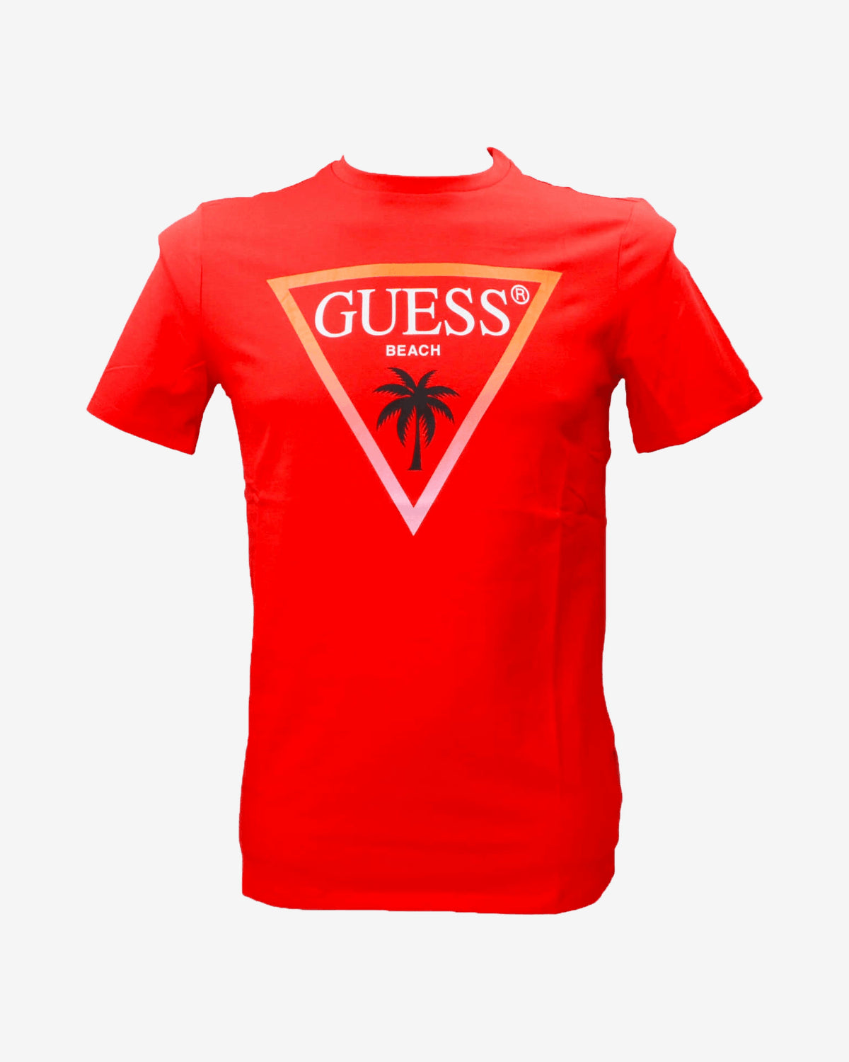 T-shirt SS CN Triangle palm tee