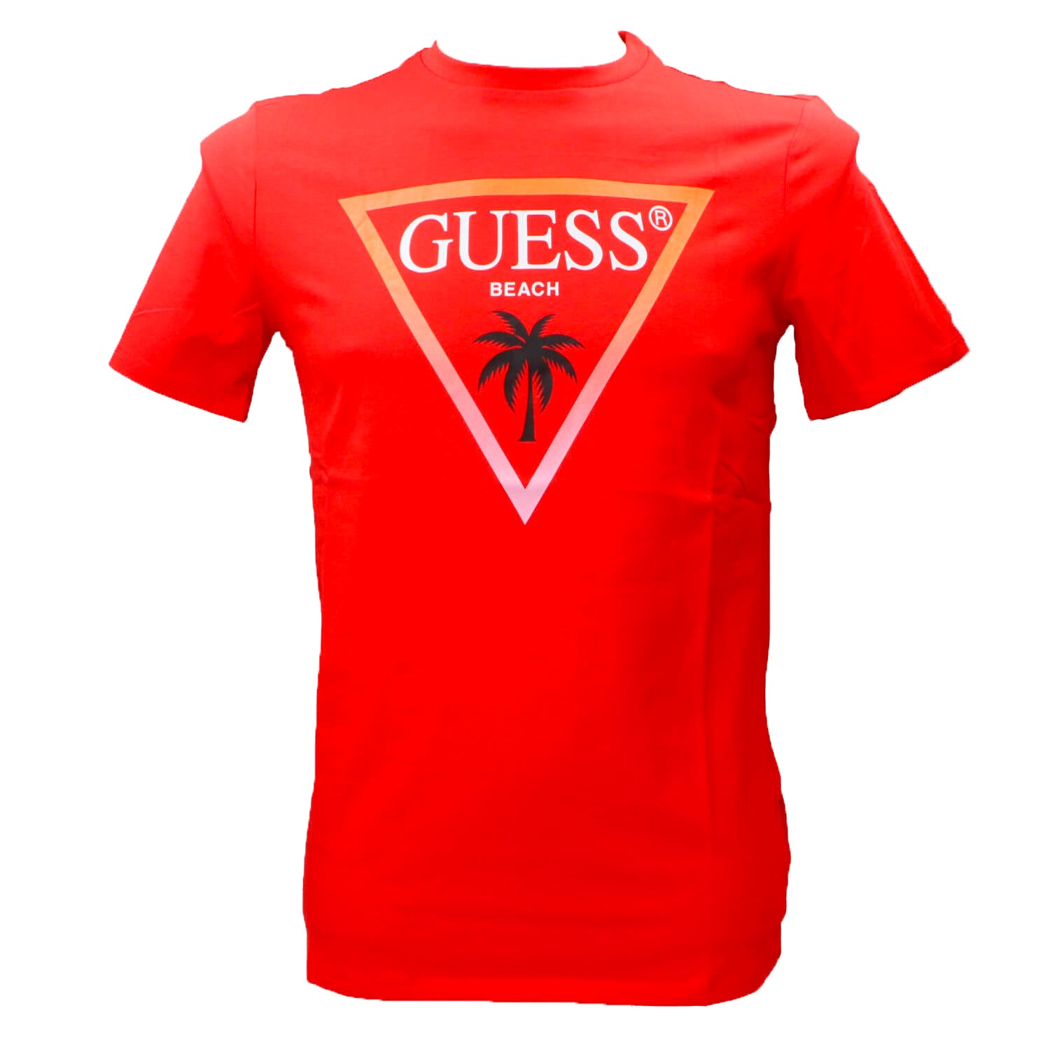 T-shirt SS CN Triangle palm tee