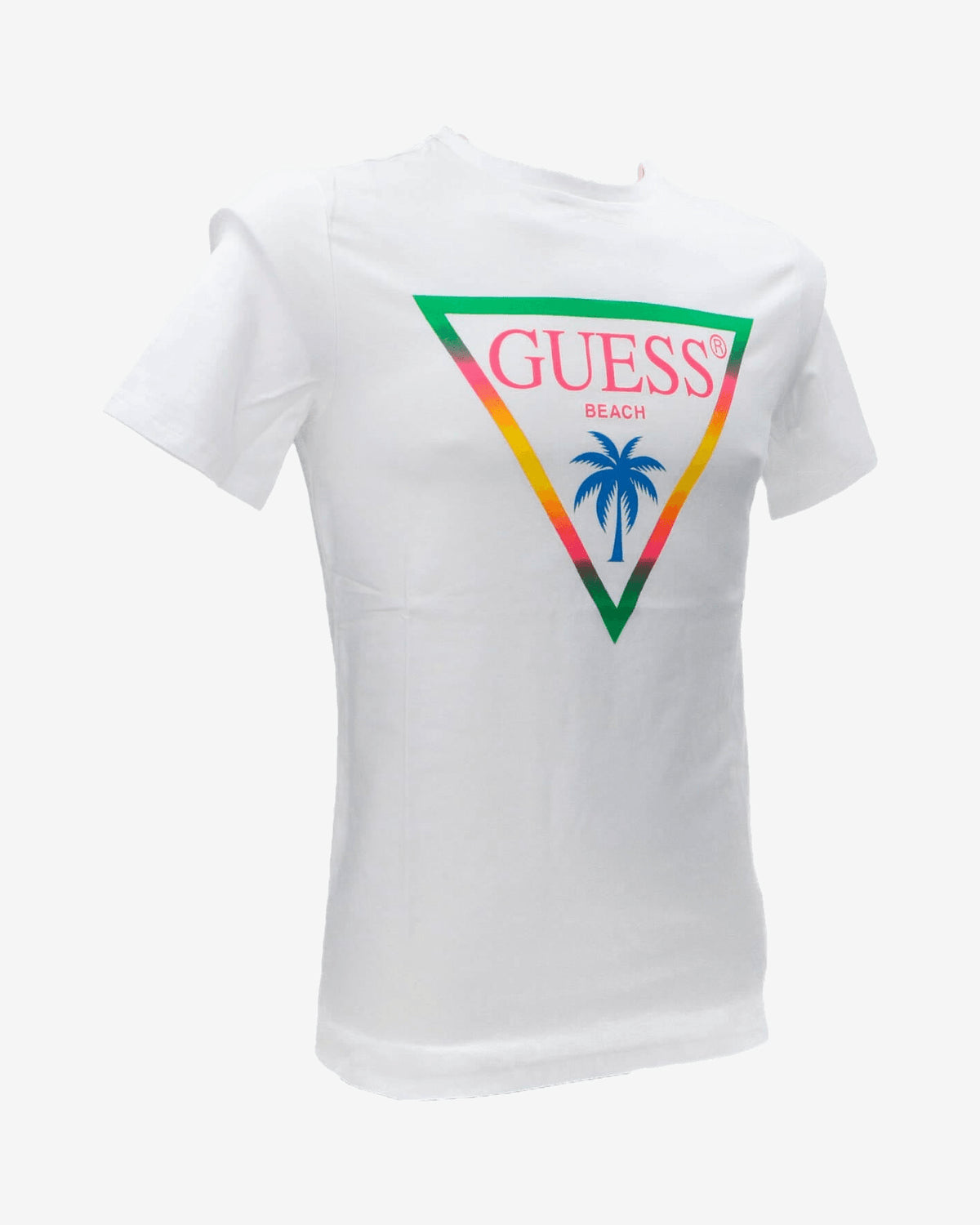 T-shirt SS CN Triangle palm tee