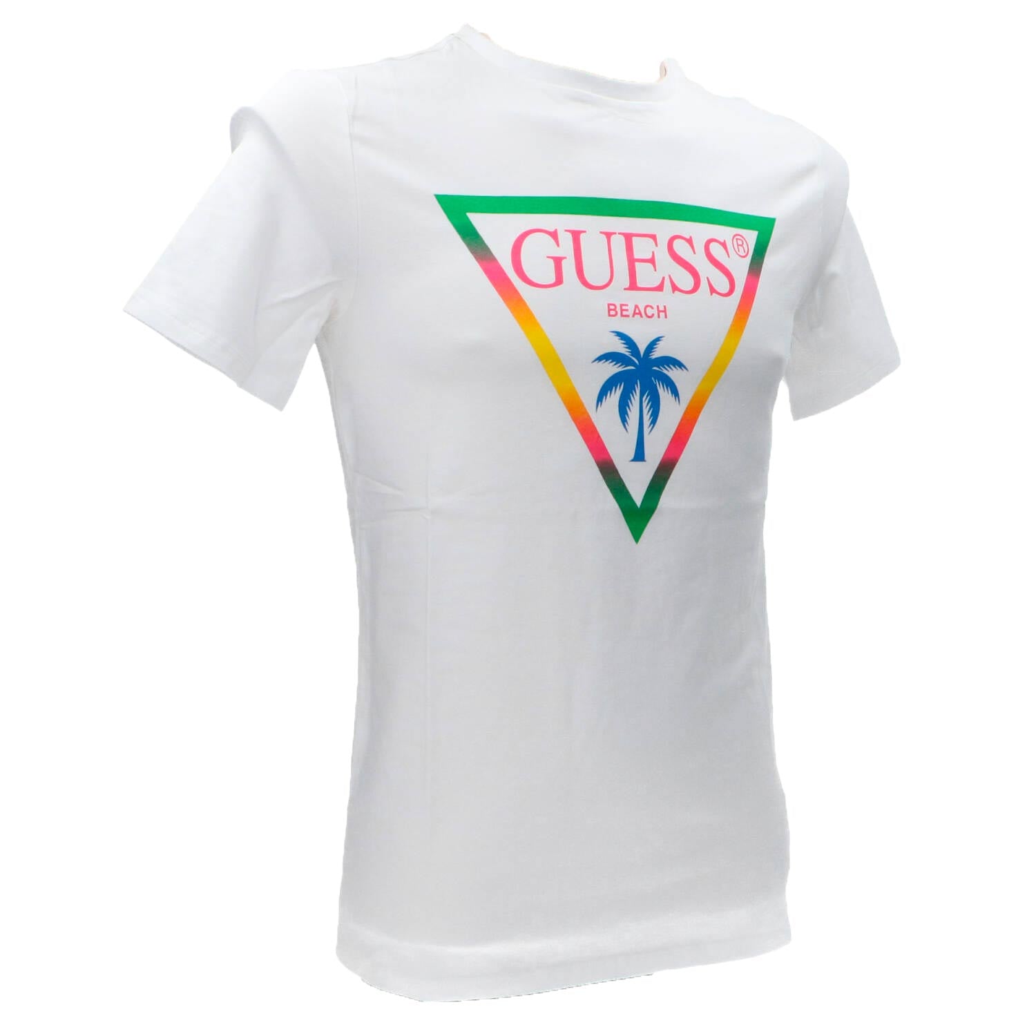 T-shirt SS CN Triangle palm tee