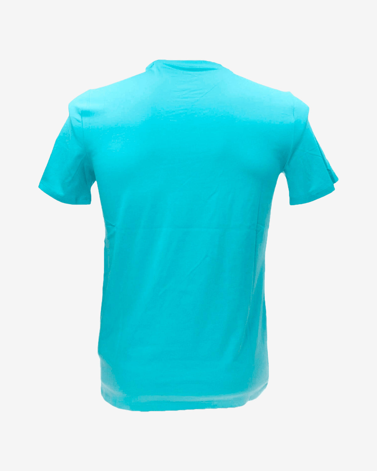 T-shirt SS CN Triangle palm tee