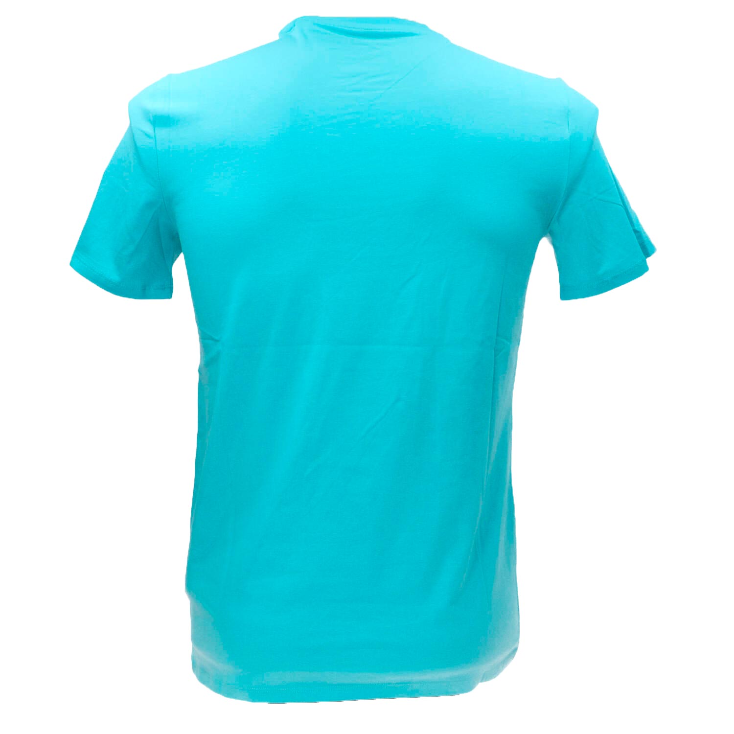 T-shirt SS CN Triangle palm tee