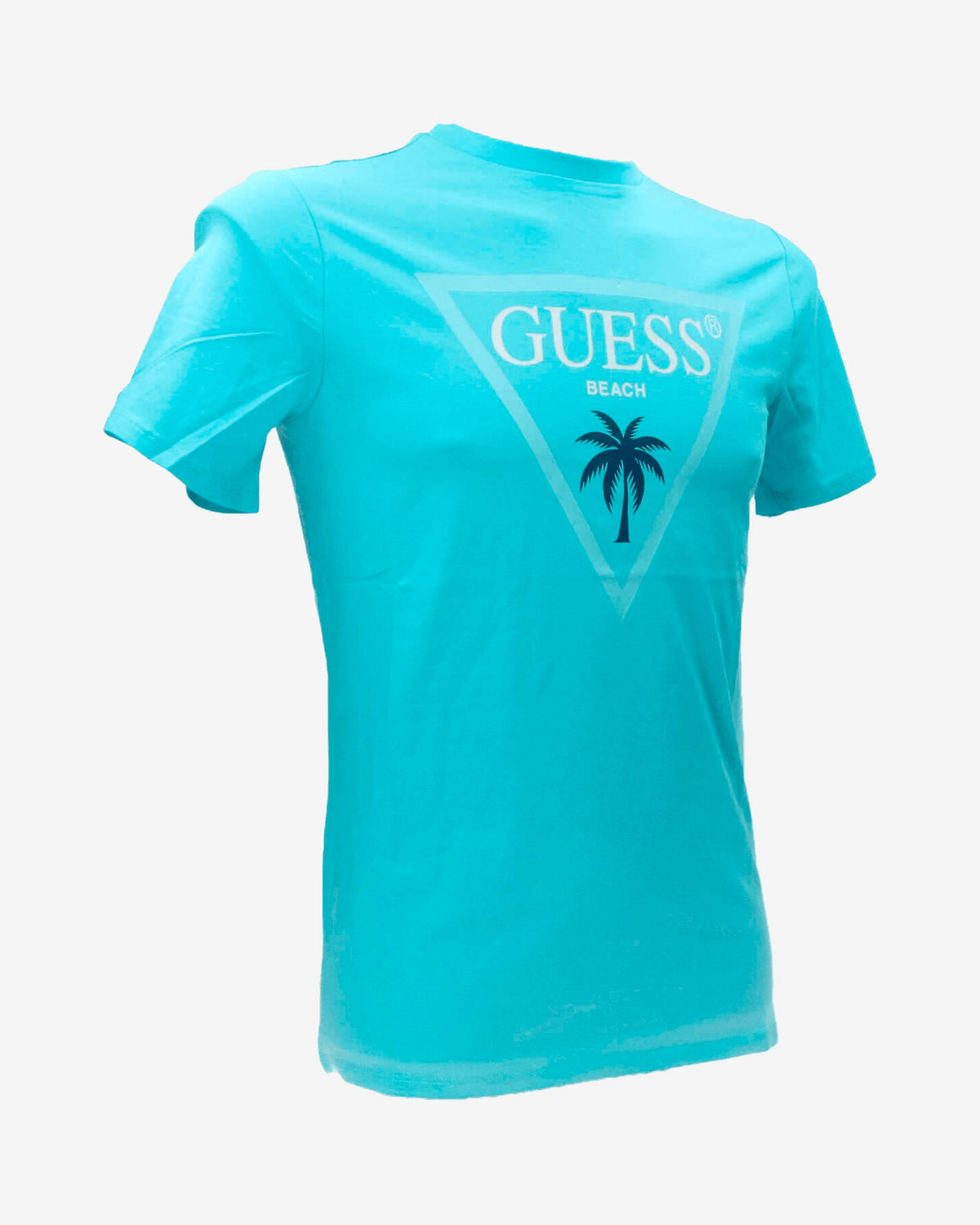 T-shirt SS CN Triangle palm tee