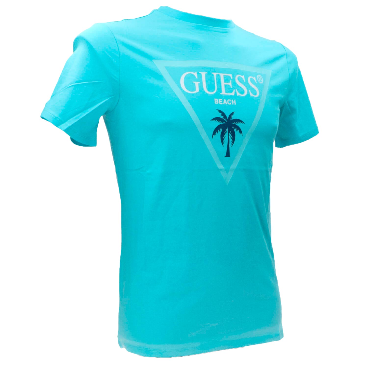 T-shirt SS CN Triangle palm tee