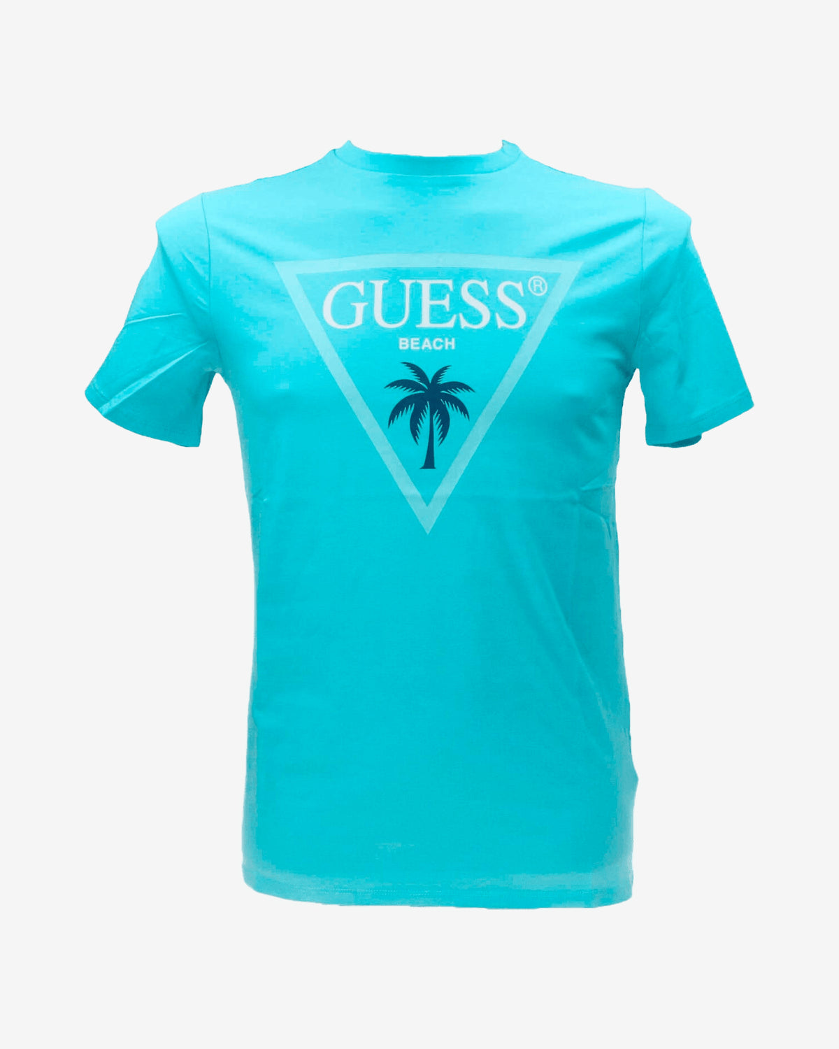 T-shirt SS CN Triangle palm tee