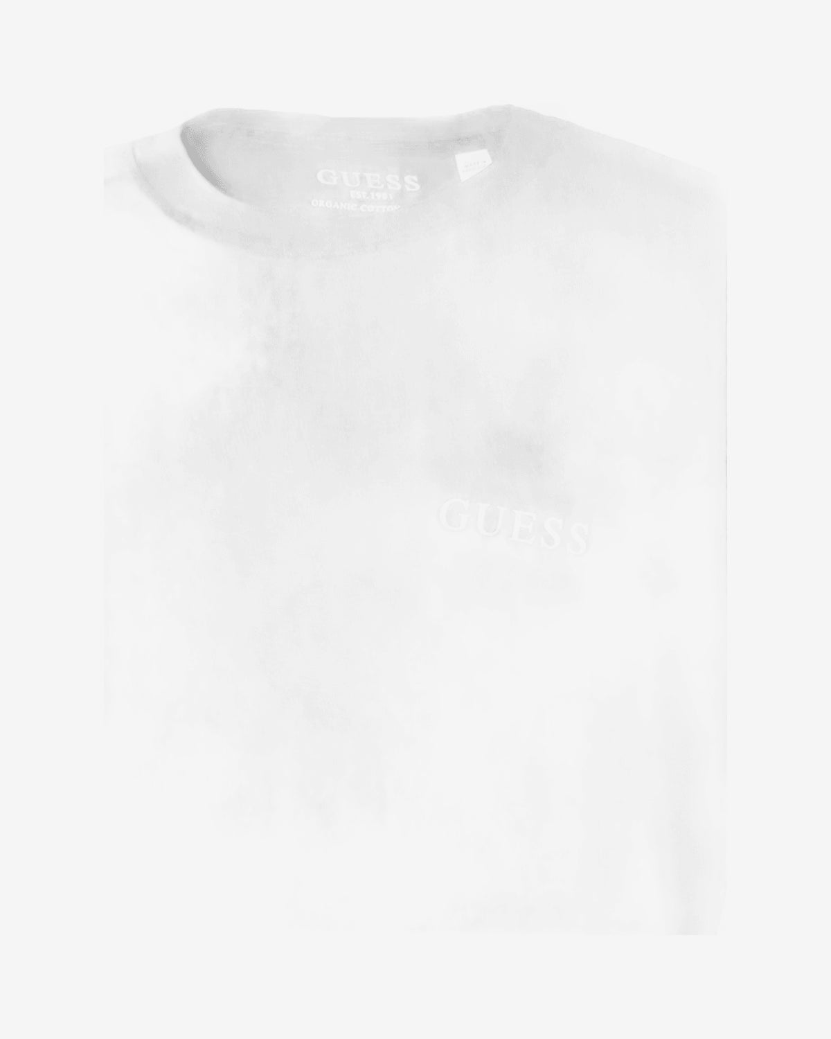 TEE SINGLE PACK