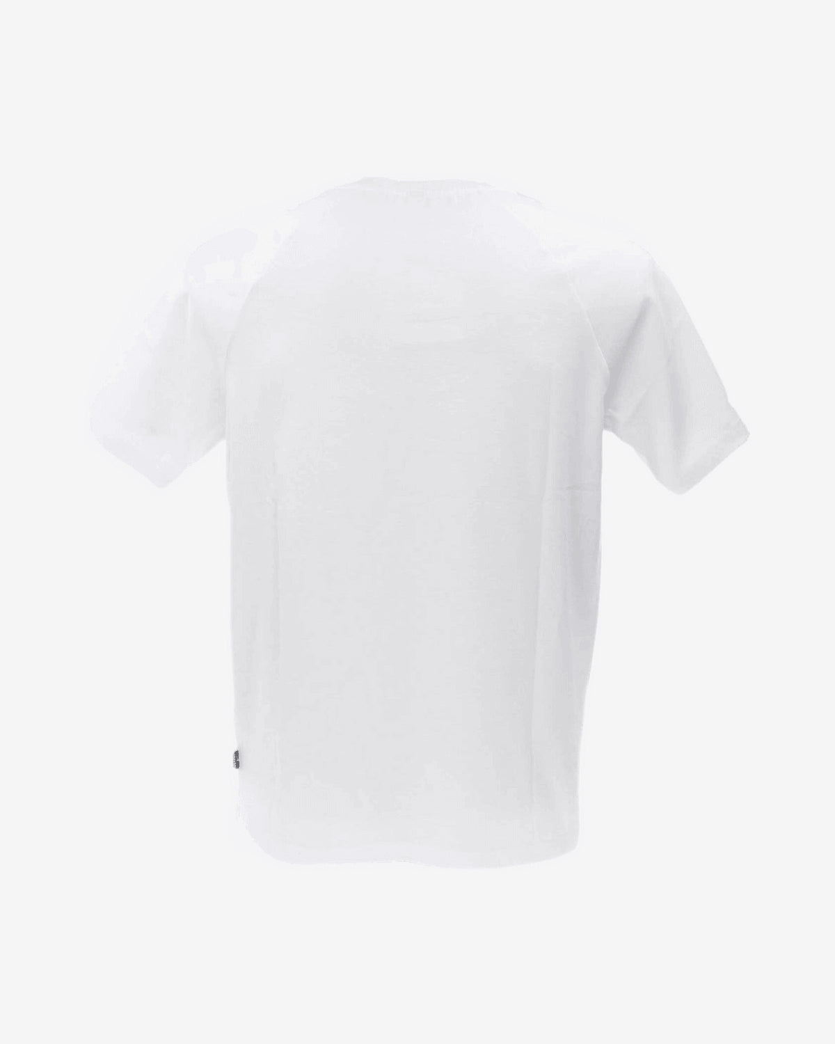 T-shirt V1A0701 TEDDY