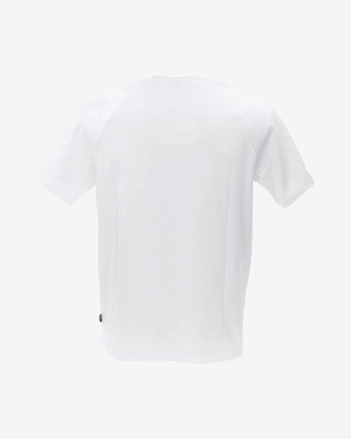 T-shirt V1A0701 TEDDY