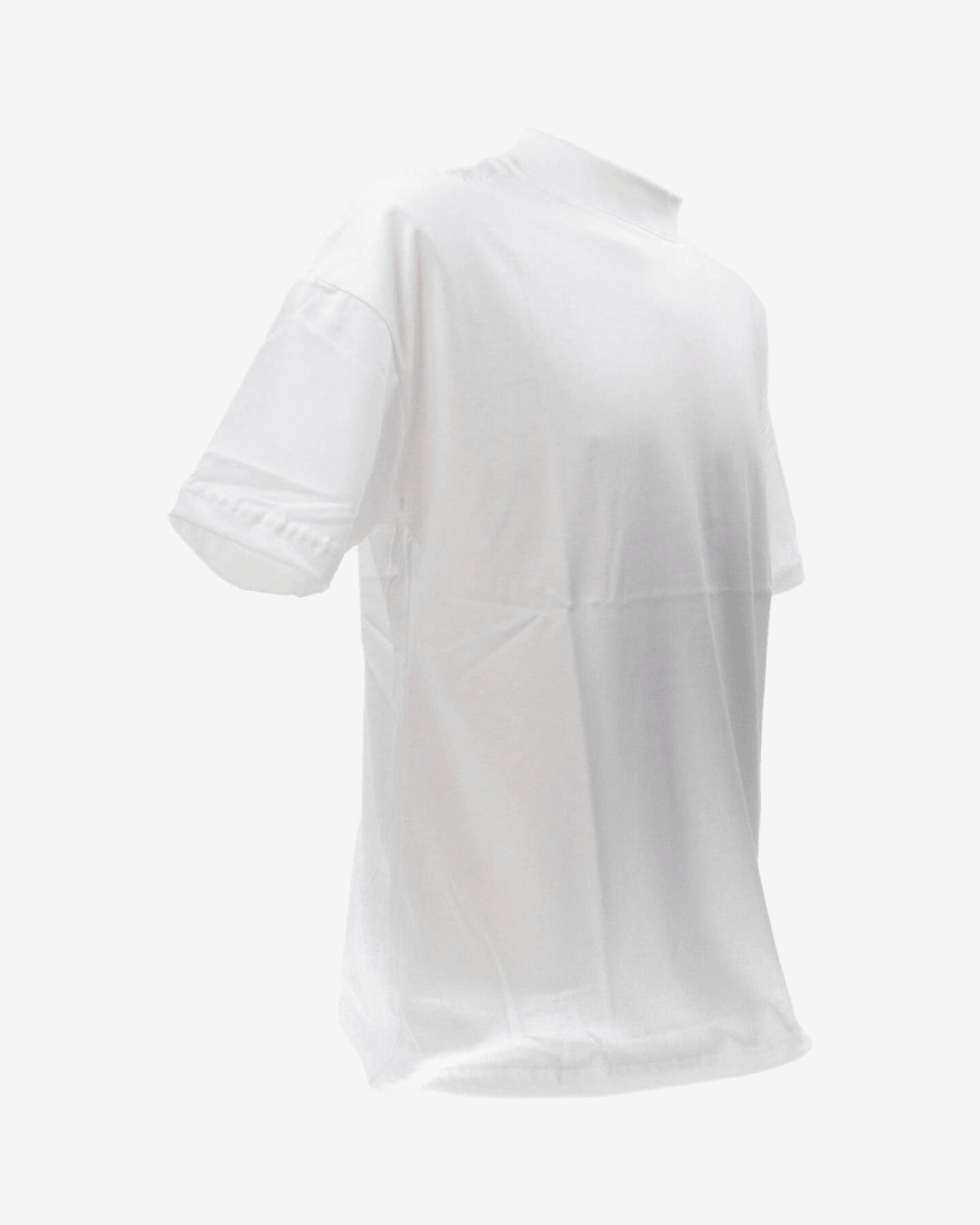 T-shirt T-SHIRT OVER LUPETTO T25
