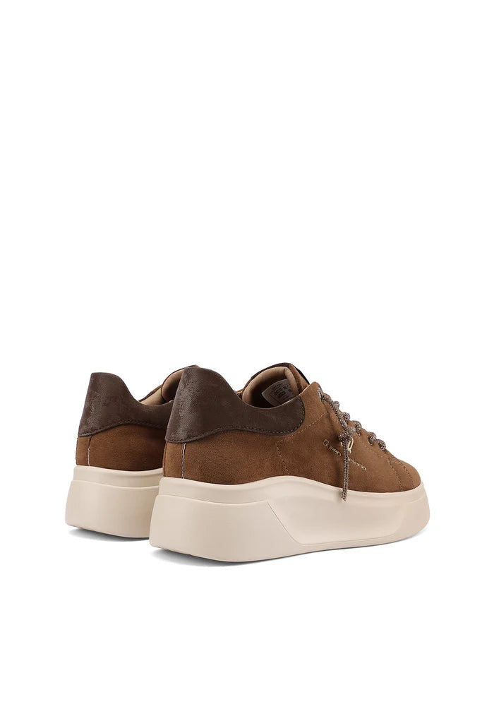 Sneakers Queen Helena X35-6 LACCI BRILLANTINI