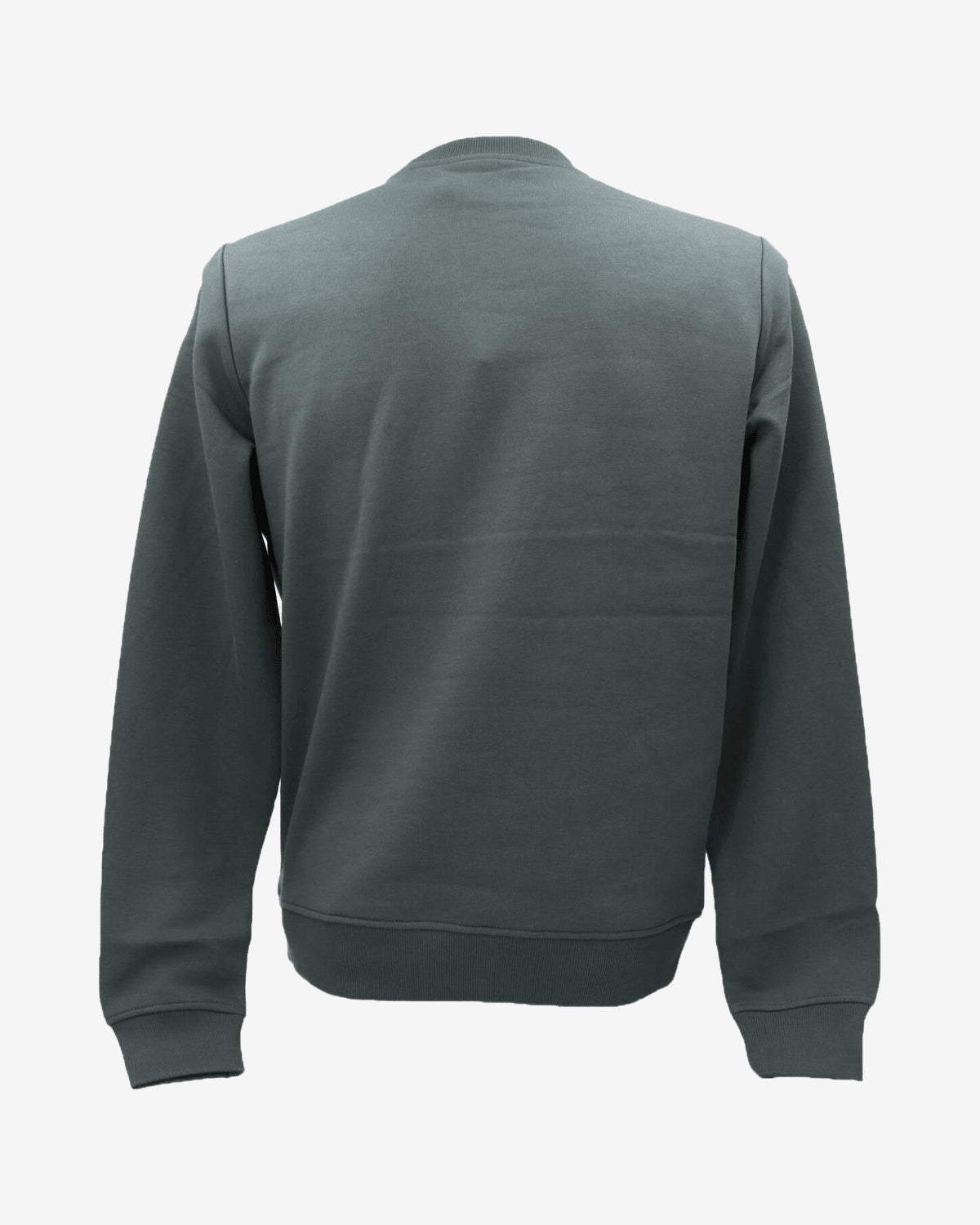 Felpe SWEATSHIRT PALMIS
