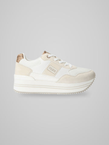 2442 1597 PATTA GEO