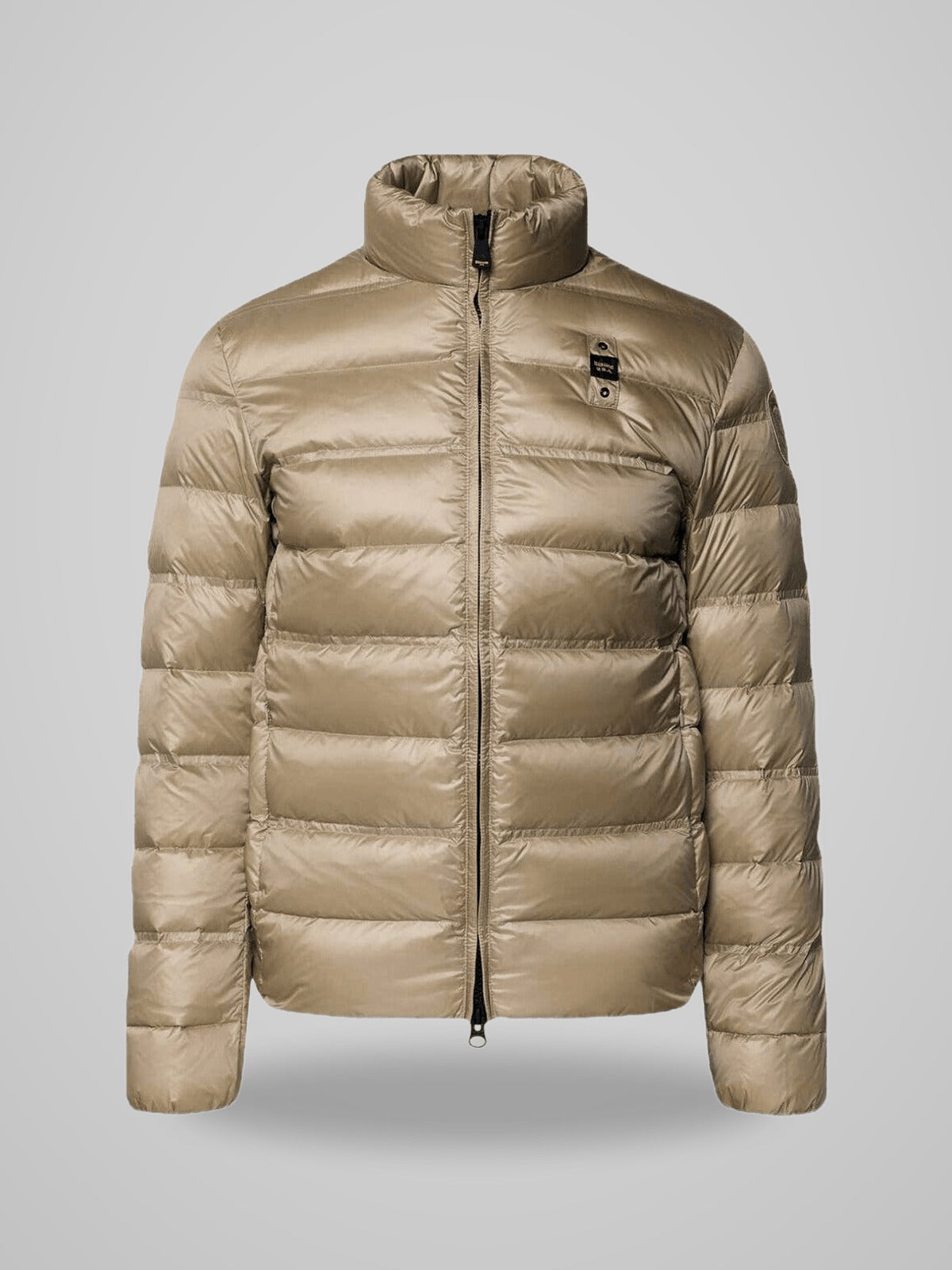 Collo Coreana Belmont