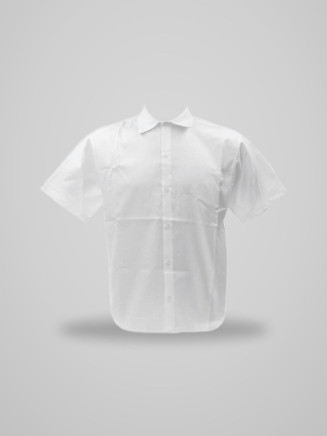 Camicia CAMICIA POPELINE 54805 - foto indossata