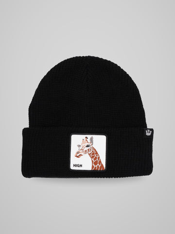 Beanies Animal